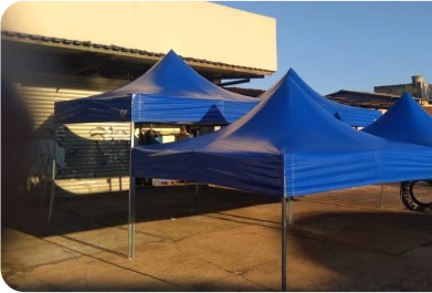 WhatsApp Image 2024-11-07 at 17.38.05 1