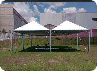 WhatsApp Image 2024-11-07 at 17.41.41 1